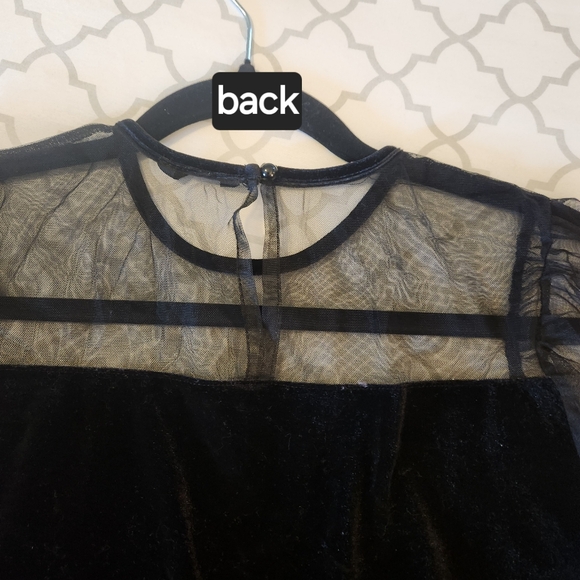Velvet with sheer long sleeve blouse - Picture 3 of 5